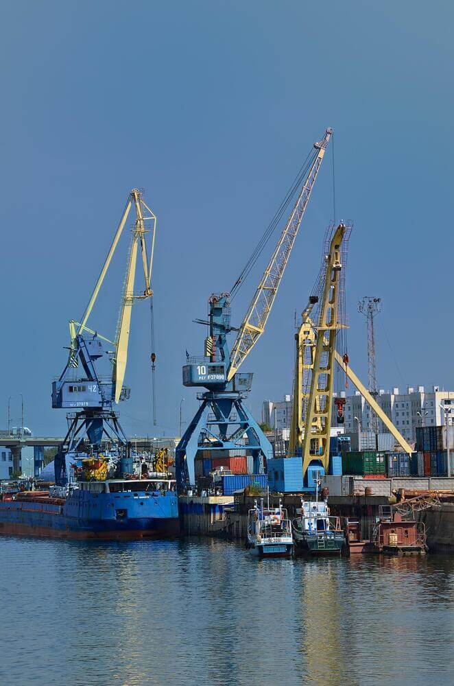 Person holding a smartphone